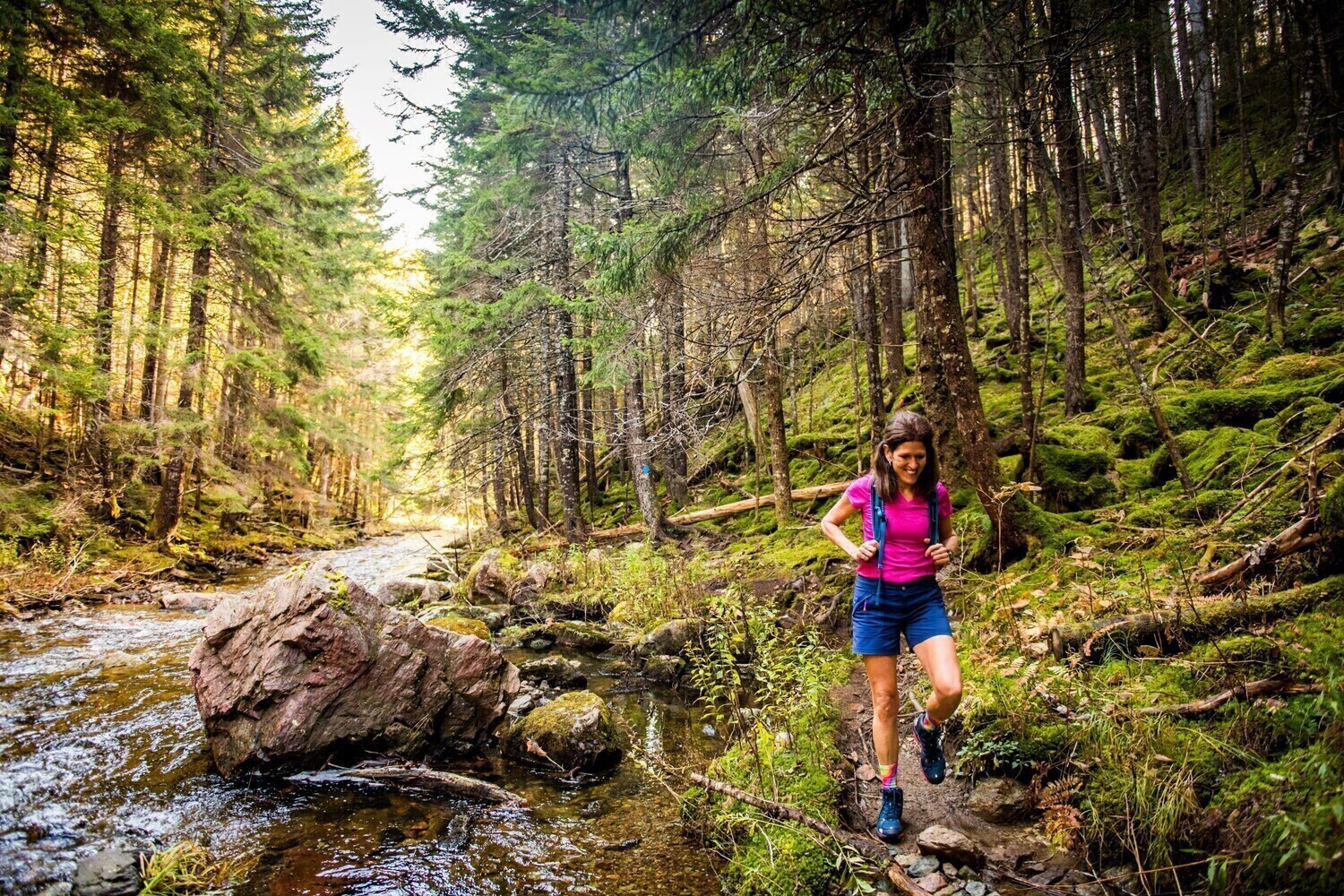 Galerie Parc Provincial Du Sentier Fundy Parcs Explorez Les Parcs