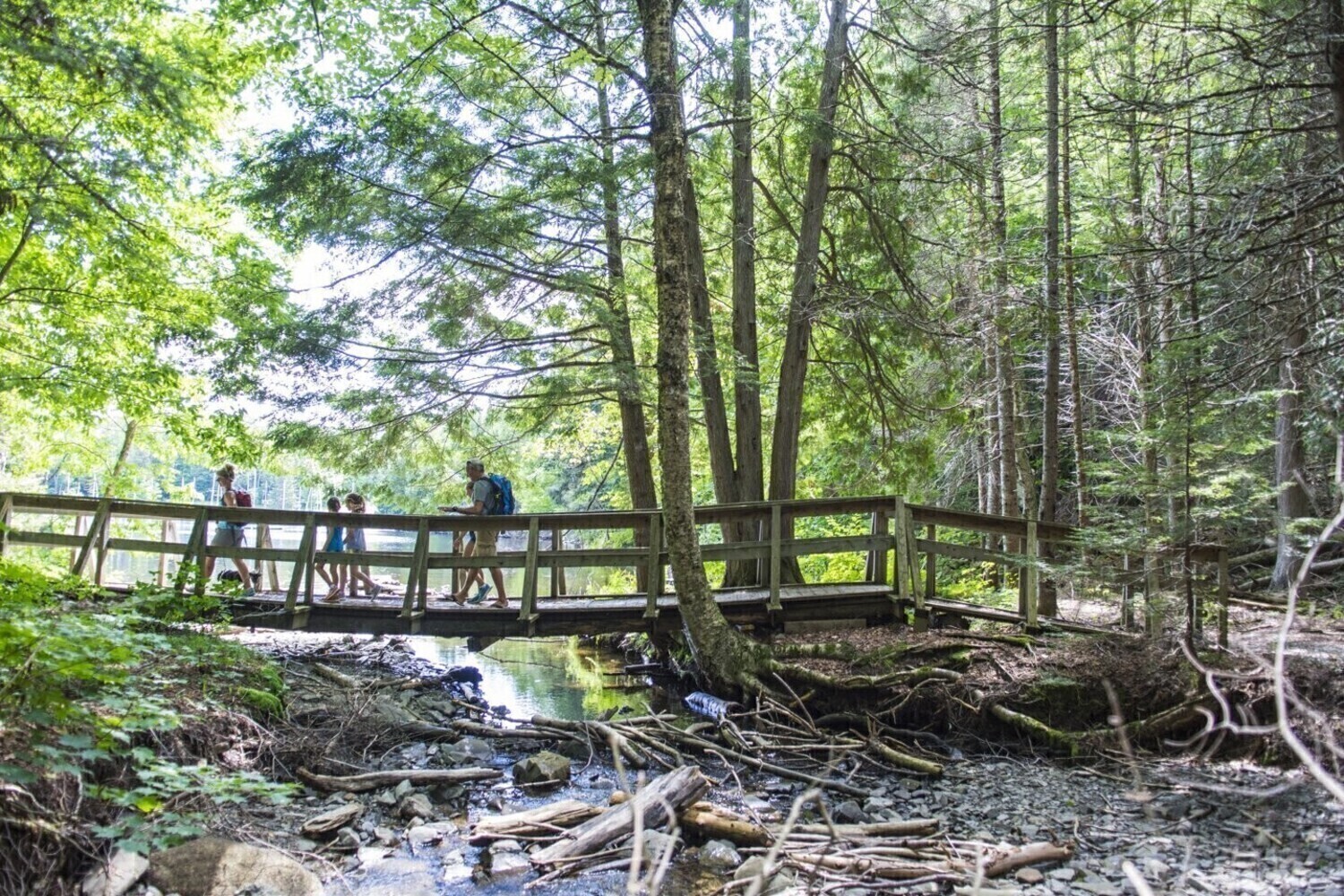 Gallery | Mactaquac Provincial Park | Parks | Explore New Brunswick's ...